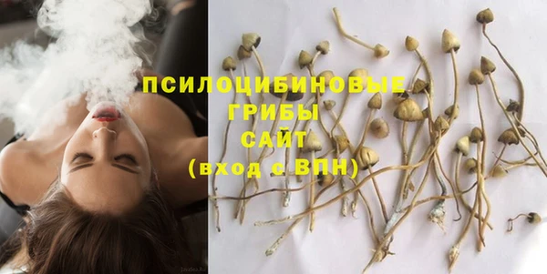 спиды Зеленодольск
