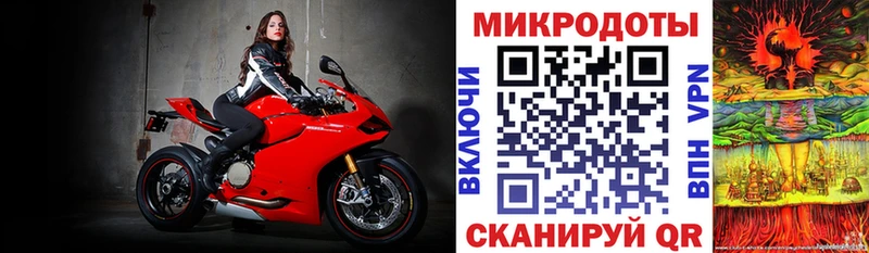 Галлюциногенные грибы Cubensis  Купить закладки  Кинель 