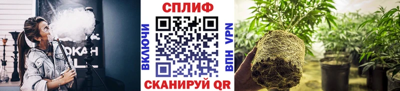 Купить где  Кинель  Бошки Шишки SATIVA & INDICA 